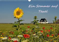 Ein Sommer auf Texel (Wandkalender 2023 DIN A3 quer) von Hackstein,  Bettina