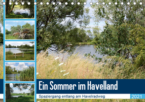 Ein Sommer im Havelland – Spaziergang entlang am Havelradweg (Tischkalender 2021 DIN A5 quer) von Frost,  Anja