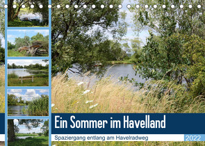 Ein Sommer im Havelland – Spaziergang entlang am Havelradweg (Tischkalender 2022 DIN A5 quer) von Frost,  Anja