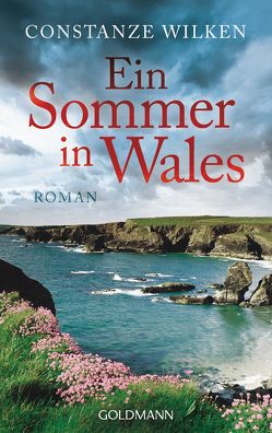 Ein Sommer in Wales von Wilken,  Constanze