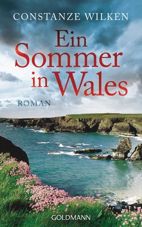 Ein Sommer in Wales von Wilken,  Constanze