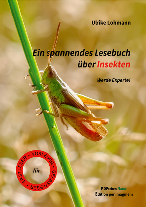 Ein spannendes Lesebuch über Insekten von Lohmann,  Ulrike