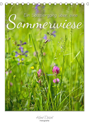 Ein Spaziergang über eine Sommerwiese (Tischkalender 2023 DIN A5 hoch) von Dietzel,  Karin