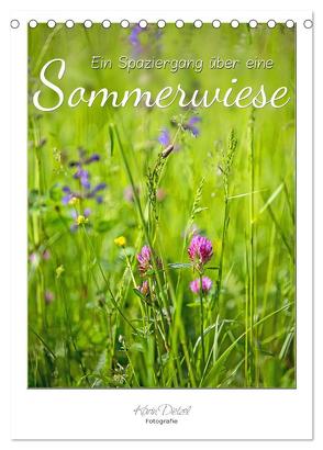 Ein Spaziergang über eine Sommerwiese (Tischkalender 2024 DIN A5 hoch), CALVENDO Monatskalender von Dietzel,  Karin