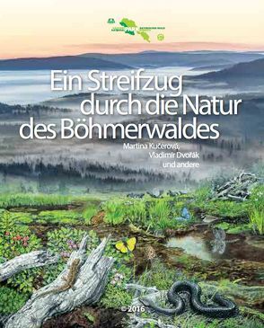 Ein Streifzug durch die Natur des Böhmerwaldes von Dvořák,  Vladimír, Kučerová,  Martina, Nationalparkverwaltung Sumava, Procházka,  Pavel