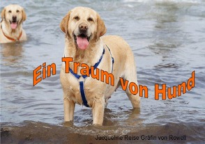 Ein Traum von Hund von Gräfin von Rowell,  Jacqueline Reise