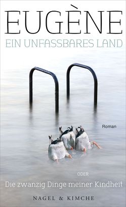 Ein unfassbares Land oder Die zwanzig Dinge meiner Kindheit von Eugène, Michaelis,  Tatjana