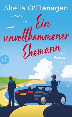 Ein unvollkommener Ehemann von O'Flanagan,  Sheila, Urban,  Susann