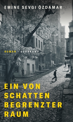 Ein von Schatten begrenzter Raum von Özdamar,  Emine Sevgi