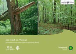 Ein Wald im Wandel