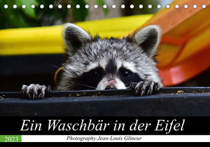 Ein Waschbär in der Eifel (Tischkalender 2023 DIN A5 quer) von Glineur,  Jean-Louis