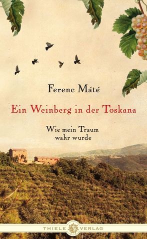 Ein Weinberg in der Toskana von Bauer,  Martin, Máté,  Ferenc