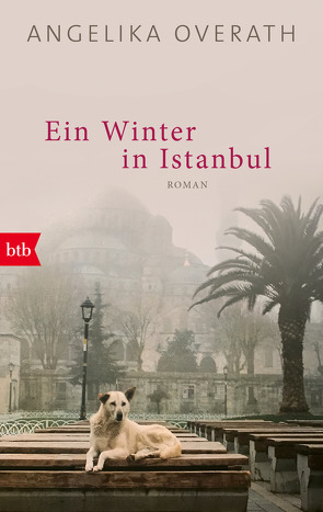 Ein Winter in Istanbul von Overath,  Angelika