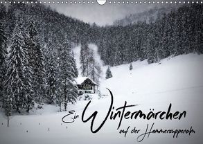 Ein Wintermärchen auf der Hemmersuppenalm (Wandkalender 2019 DIN A3 quer) von Viola,  Melanie