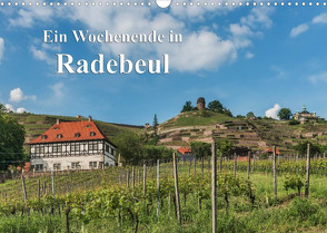 Ein Wochenende in Radebeul (Wandkalender 2023 DIN A3 quer) von Kirsch,  Gunter