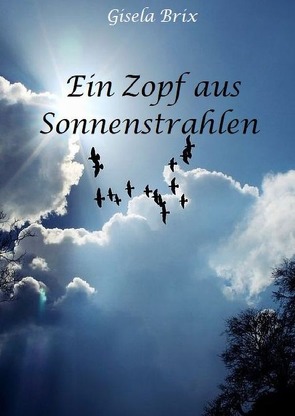 Ein Zopf aus Sonnenstrahlen von Brix,  Gisela
