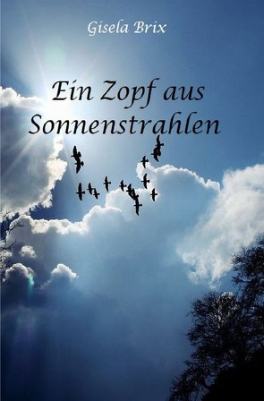 Ein Zopf aus Sonnenstrahlen von Brix,  Gisela