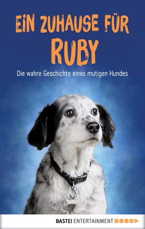 Ein Zuhause für Ruby von Amor,  Claudia, Vannini,  Carola