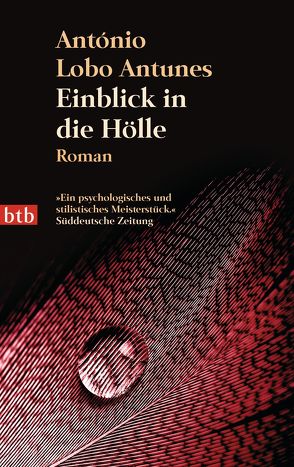 Einblick in die Hölle von Lobo Antunes,  António, Meyer-Minnemann,  Maralde