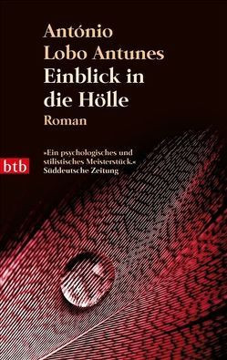 Einblick in die Hölle von Lobo Antunes,  António, Meyer-Minnemann,  Maralde