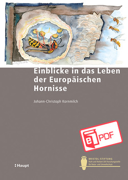 Einblicke in das Leben der Europäischen Hornisse von Kornmilch,  Johann-Christoph