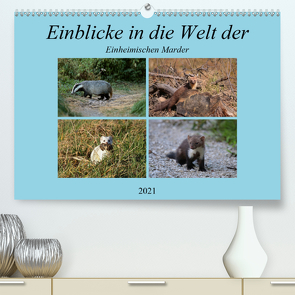 Einblicke in die Welt der einheimischen Marder (Premium, hochwertiger DIN A2 Wandkalender 2021, Kunstdruck in Hochglanz) von Erlwein,  Winfried