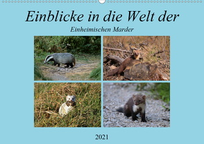 Einblicke in die Welt der einheimischen Marder (Wandkalender 2021 DIN A2 quer) von Erlwein,  Winfried
