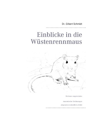 Einblicke in die Wüstenrennmaus von Schmidt,  Gilbert