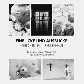 Einblicke und Ausblicke von Schwarz,  Andrea, Zitzlsperger,  Juliane