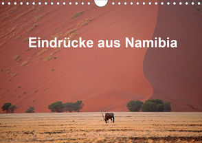 Eindrücke aus Namibia (Wandkalender 2020 DIN A4 quer) von W. Bruechle,  Dr.