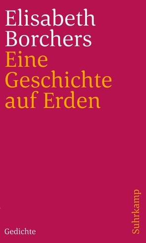 Eine Geschichte auf Erden von Borchers,  Elisabeth
