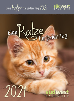 Eine Katze für jeden Tag 2021 Tagesabreißkalender