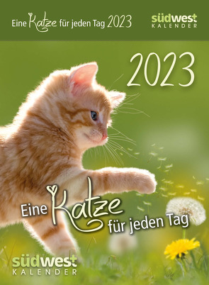 Eine Katze für jeden Tag 2023 – Tagesabreißkalender zum Aufstellen oder Aufhängen