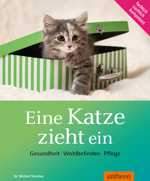 Eine Katze zieht ein von Streicher,  Michael