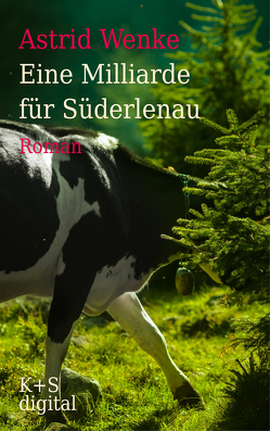 Eine Milliarde für Süderlenau von Wenke,  Astrid