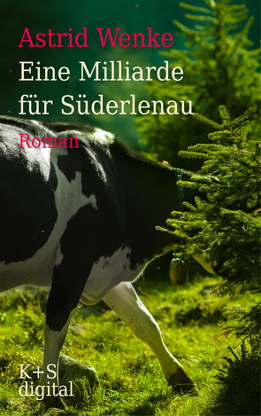 Eine Milliarde für Süderlenau von Wenke,  Astrid