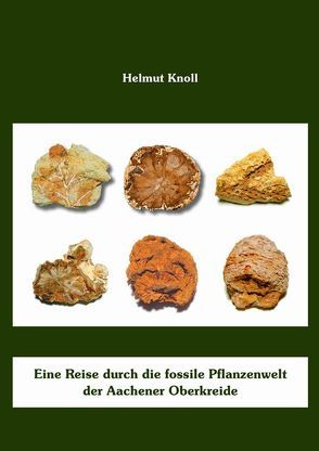 Eine Reise durch die fossile Pflanzenwelt der Aachener Oberkreide von Knoll,  Helmut