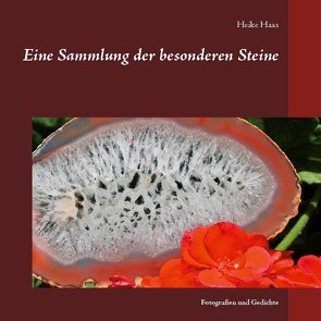 Eine Sammlung der besonderen Steine von Haas,  Heike