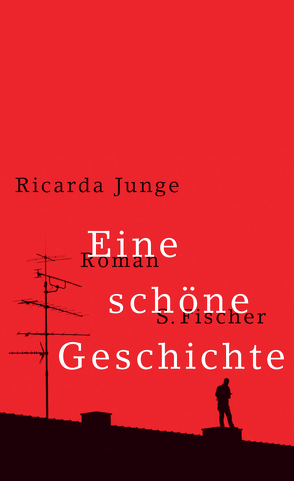 Eine schöne Geschichte von Junge,  Ricarda