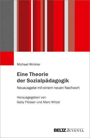 Eine Theorie der Sozialpädagogik von Flößer,  Gaby, Winkler,  Michael, Witzel,  Marc