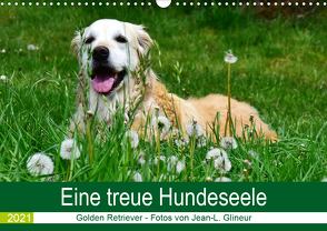 Eine treue Hundeseele – Golden Retriever (Wandkalender 2021 DIN A3 quer) von Glineur,  Jean-Louis