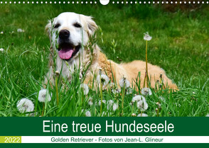 Eine treue Hundeseele – Golden Retriever (Wandkalender 2022 DIN A3 quer) von Glineur,  Jean-Louis