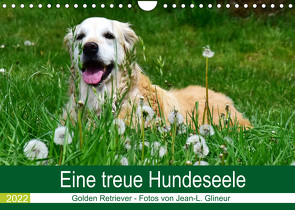 Eine treue Hundeseele – Golden Retriever (Wandkalender 2022 DIN A4 quer) von Glineur,  Jean-Louis