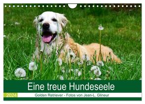 Eine treue Hundeseele – Golden Retriever (Wandkalender 2024 DIN A4 quer), CALVENDO Monatskalender von Glineur,  Jean-Louis