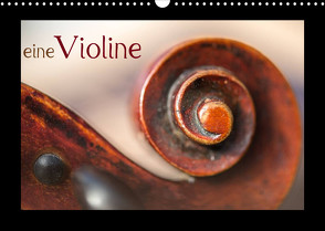 eine Violine (Wandkalender 2022 DIN A3 quer) von calmbacher,  Christiane