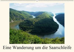 Eine Wanderung um die Saarschleife (Wandkalender 2019 DIN A2 quer) von Fiance,  Gerald