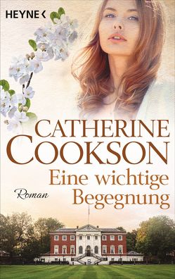 Eine wichtige Begegnung von Cookson,  Catherine