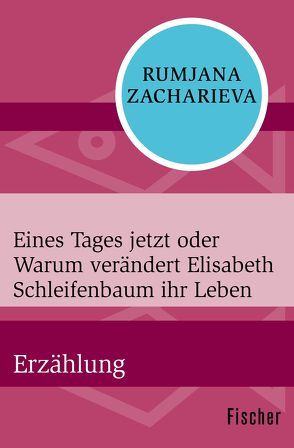 Eines Tages jetzt oder Warum verändert Elisabeth Schleifenbaum ihr Leben von Zacharieva,  Rumjana