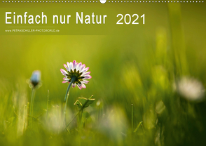 Einfach nur Natur (Wandkalender 2021 DIN A2 quer) von Schiller,  Petra