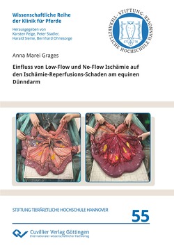 Einfluss von Low-Flow und No-Flow Ischämie auf den Ischämie-Reperfusions-Schaden am equinen Dünndarm von Grages,  Anna Marei